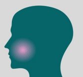 Quicksorb orobuccal absorption — diagram showing absorption point in the cheek/jaw area of the human face